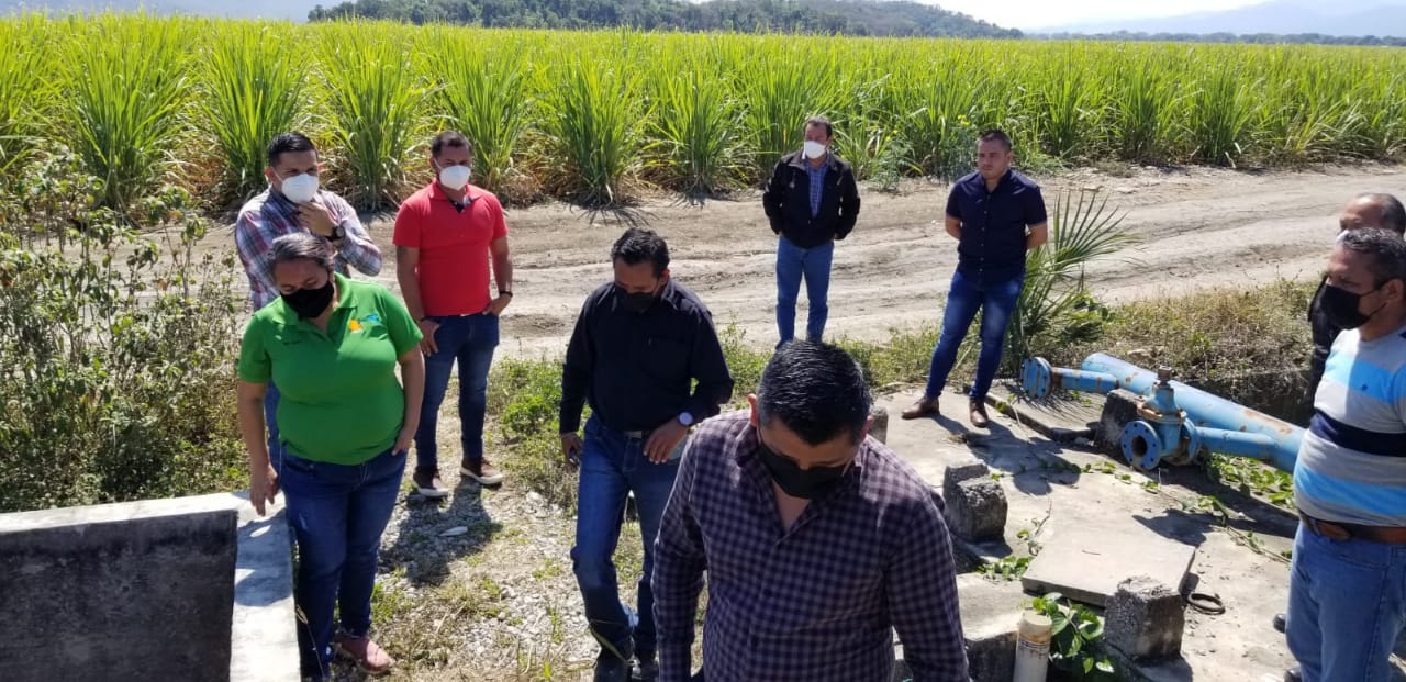 WhatsApp Image 2022 04 01 PLANTA