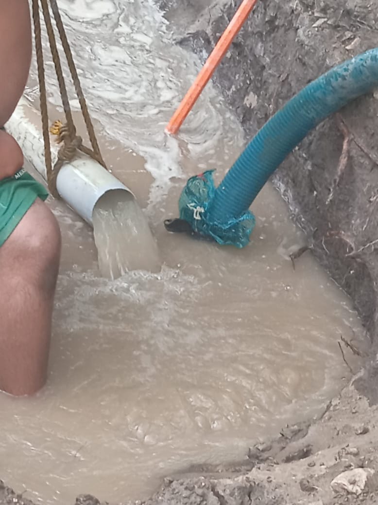 WhatsApp Image 2022 06 30 at 12.54.15 PM 1 naranjito