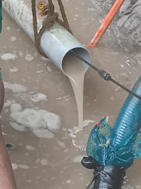 WhatsApp Image 2022 06 30 naranjito